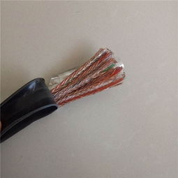 DJYPVR 2×2×0.75 聚乙烯绝缘对绞铜线编织分屏蔽聚氯乙烯护